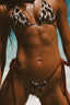 HONEY TOP VIXEN